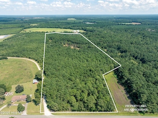 Tbd (1951) Carr Town Rd, Greenevers, NC 28458