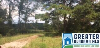 8801 County Road 73, Montevallo, AL 35115