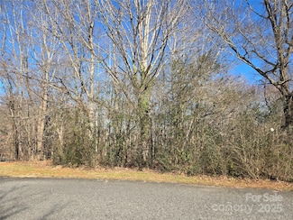 136 Walking Horse Run Unit 19, Stanley, NC 28164