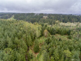 0 Haywire Rd Unit 1177548, Napavine, WA 98565