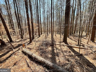 0 Joe Cook Rd Unit 4 10550489, Franklin, GA 30217