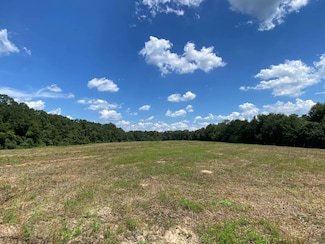 0 County Road 10 Unit 11530884, Samson, AL 36477