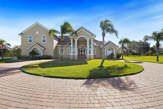 11518 Hammock Oaks Ct, Lithia, FL 33547