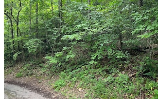 LOT 12 Kilpatrick Point Terrace, Hayesville, NC 28904