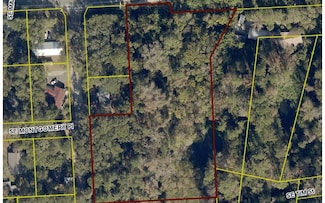 TBD SW Baya Dr, Lake City, FL 32025