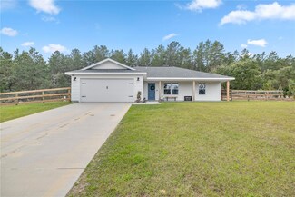 21600 NE 133rd St, Salt Springs, FL 32134