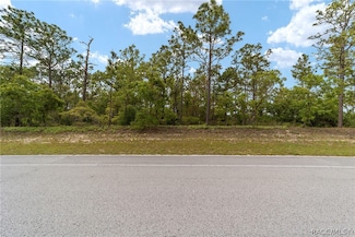 9200 N Citrus Springs Blvd, Dunnellon, FL 34433