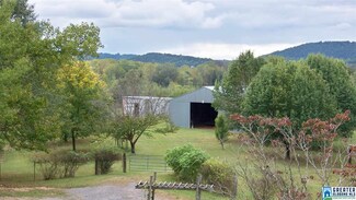 455 Bristow Creek Rd, Altoona, AL 35952
