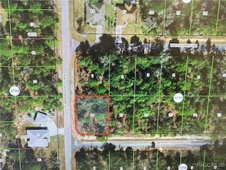 6585 W Whispering Dr, Pine Ridge, FL 34434