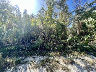 27275 Las Lomas Dr, Punta Gorda, FL 33955