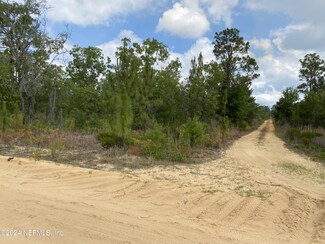LOT 30 Drew Ln, Interlachen, FL 32148