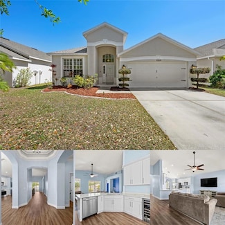 11009 Silver Dancer Dr, Riverview, FL 33579