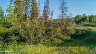 63941 Highway 3, Fernwood, ID 83830