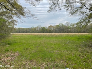 1604 N Old Canton Rd, Canton, MS 39046