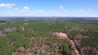 25250 Leora Williams Ln, Mount Hermon, LA 70450