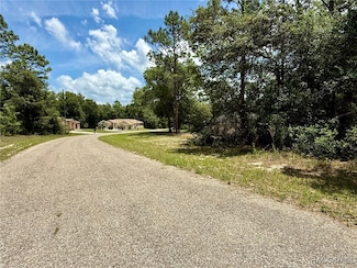 2628 W Scilla Dr, Citrus Springs, FL 34434