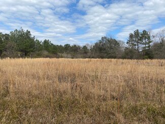 0 Frontage Rd Unit 174580, Picayune, MS 39466
