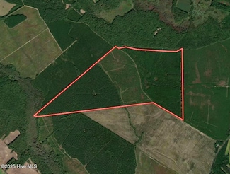 0 Shields Commissary Rd, Scotland Neck, NC 27874
