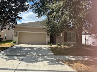 7739 Seafield Ln, Wesley Chapel, FL 33545