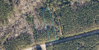 1135 Watersedge Cove, Tignall, GA 30668