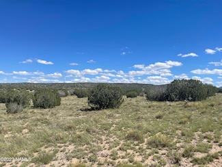 2272 W Critter Pass, Williams, AZ 86046