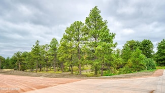 3 Freedom Dr W, Pine Haven, WY 82721