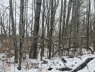 0 Musson Erwin Rd Unit LotWP001 22177085, South New Berlin, NY 13843