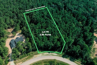 TBD, Lot 99 Red Hawk Rd, Huntsville, TX 77340