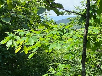 TBD Tract 5 Thompson Creek Ln, Mena, AR 71953