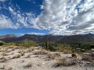 4510 N Santana Place Unit 1, Catalina Foothills, AZ 85750