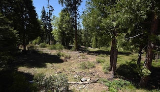 42208 Opal Dr Unit lot74, Shaver Lake, CA 93664