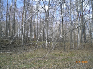 Lot 211 Catskill Cir, Breezy Point, MN 56472