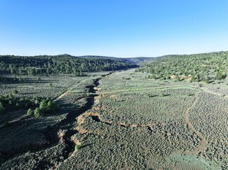 000 Fs 301l, Dulce, NM 87528