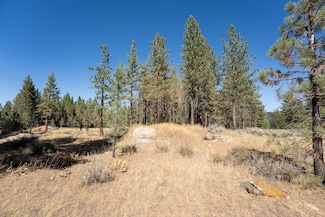 215 Cougar Way, Portola, CA 96122