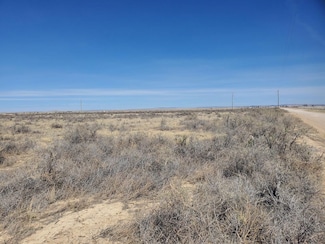 150 Willow Lake Rd, McIntosh, NM 87032