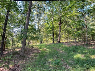 000 State Route Jj, West Plains, MO 65775