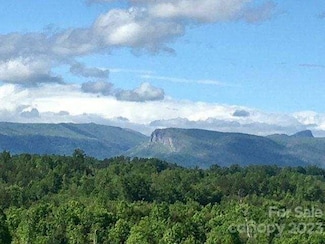 0 Highway 70 E, Nebo, NC 28761