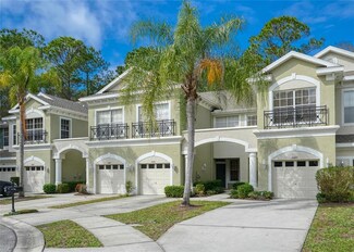 14243 Waterville Cir, Tampa, FL 33626