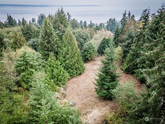 0 Skywater Dr Unit NWM2006630, Port Hadlock, WA 98339