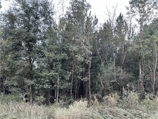 0 Taylor Ave Unit 7688070, Irvington, AL 36544