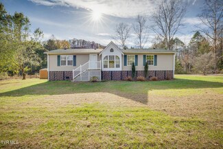 3229 Big Stoney Creek Rd, Dungannon, VA 24245