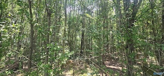 517 3rd St SW, Sylvania, AL 35988