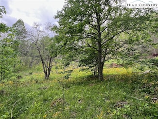 TBD Old Hartley Rd, Banner Elk, NC 28604