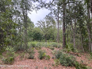 0 S Slash Pine Ave Unit 2253465, Homosassa Springs, FL 34446
