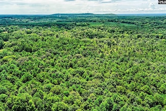 1549 Doctor Bowers Rd, Little Mountain, SC 29075