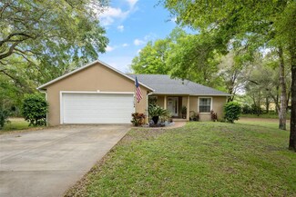 31154 Lochmore Cir, Sorrento, FL 32776