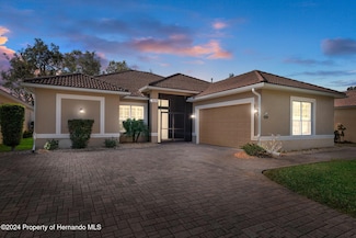 9144 Alexandria Dr, Weeki Wachee, FL 34613