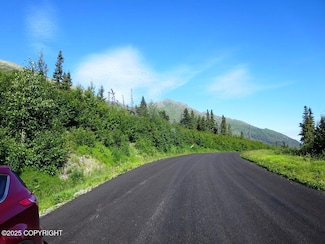 Lot 3 W River Dr, Anchorage, AK 99577