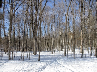 LOT #87 Maple Terrace Dr, Edgewater, WI 54817