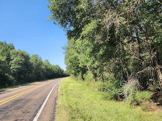 9.661 AC U S Highway Business 96, Buna, TX 77612